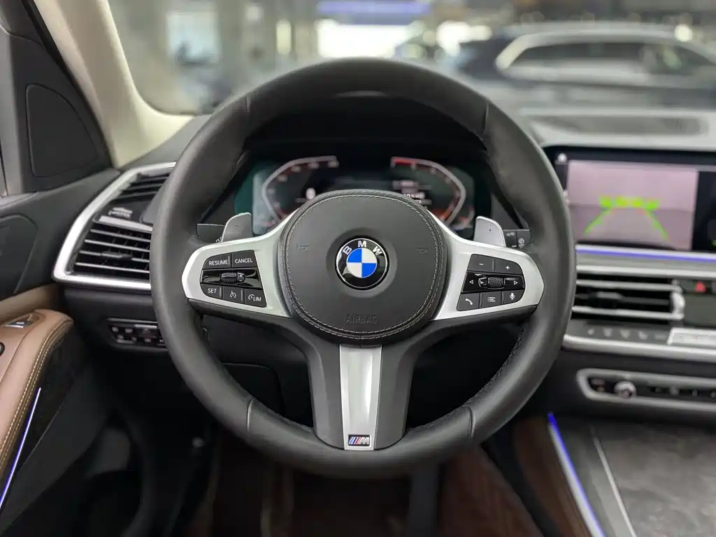 BMW X5 (Import) — миниатюра 10