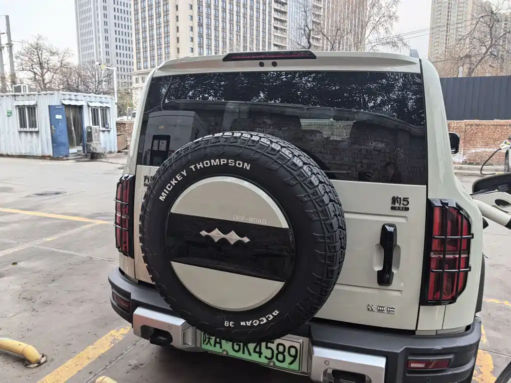 FANG CHENG BAO LEOPARD 5