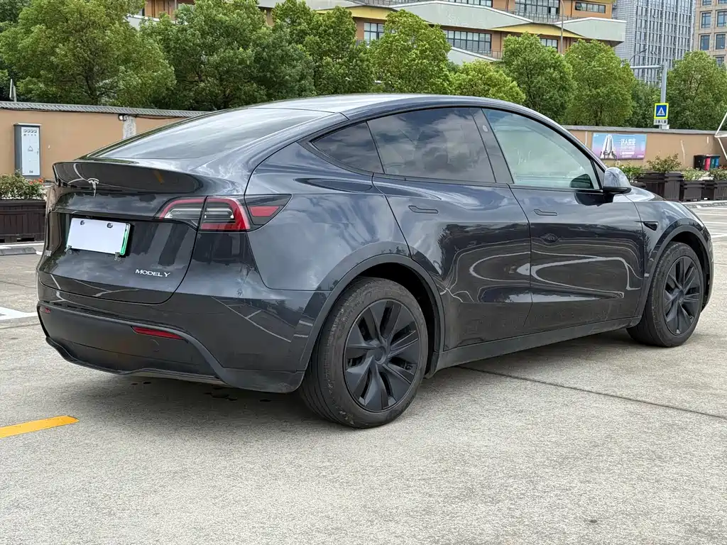 Tesla Model Y — миниатюра 6