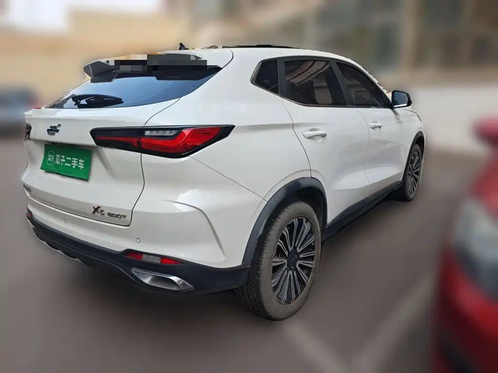 Oshan Oushang X5 — миниатюра 4