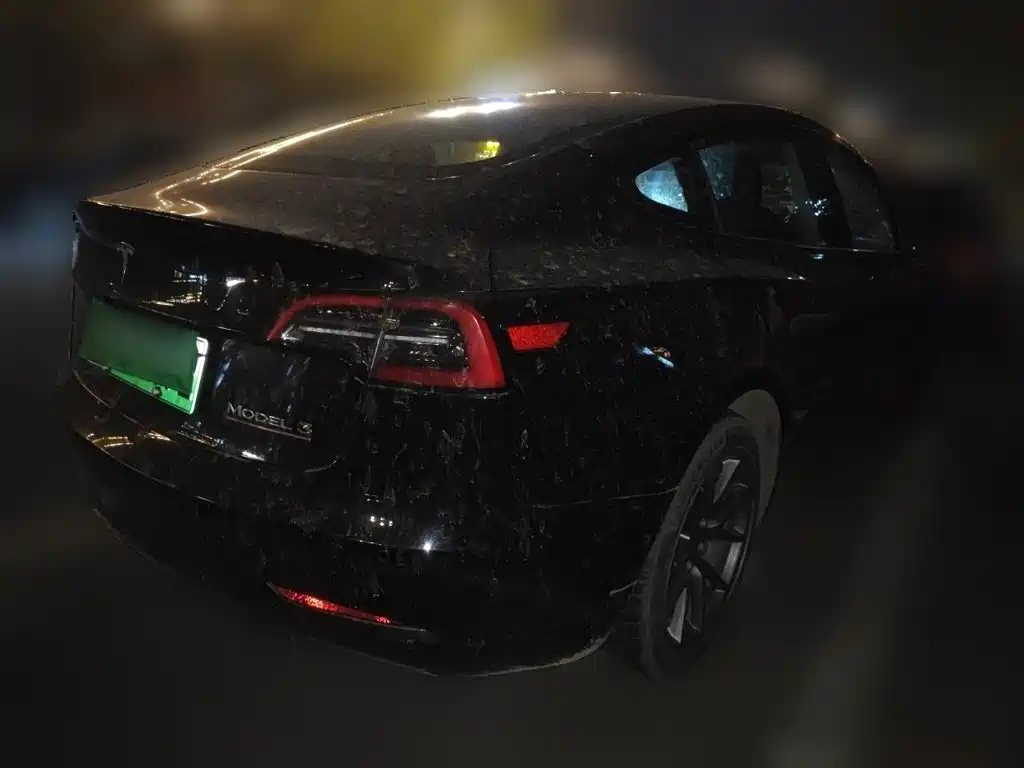 Tesla Model 3 — миниатюра 4