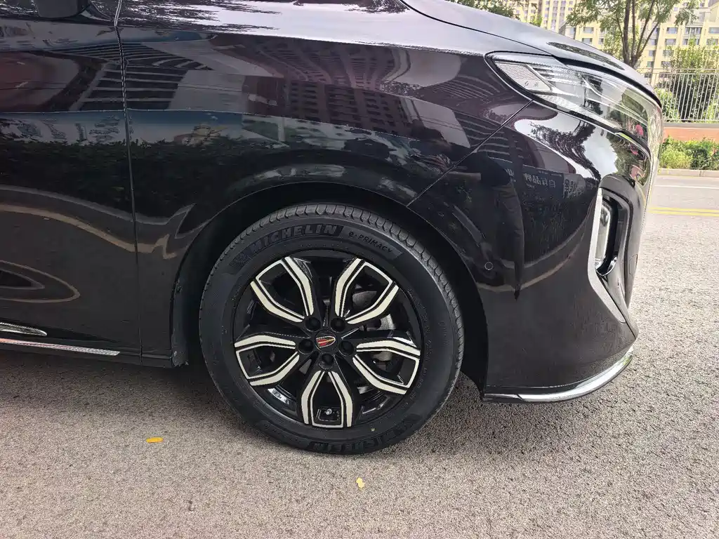 Hongqi Hongqi HQ9 — миниатюра 18