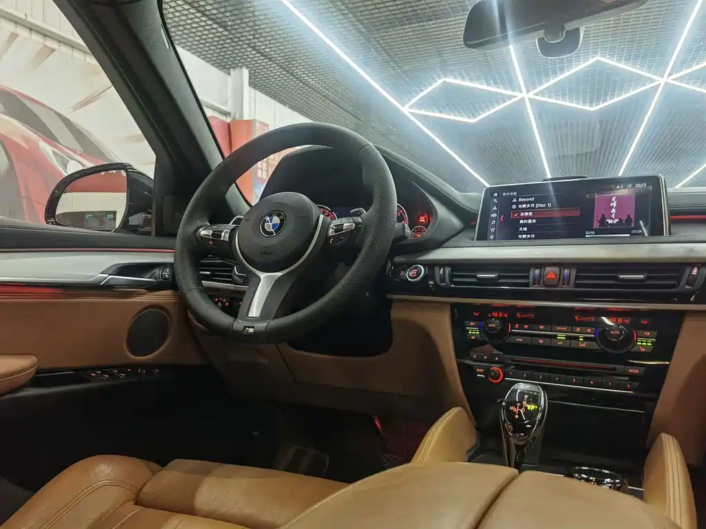 BMW X6 — миниатюра 21