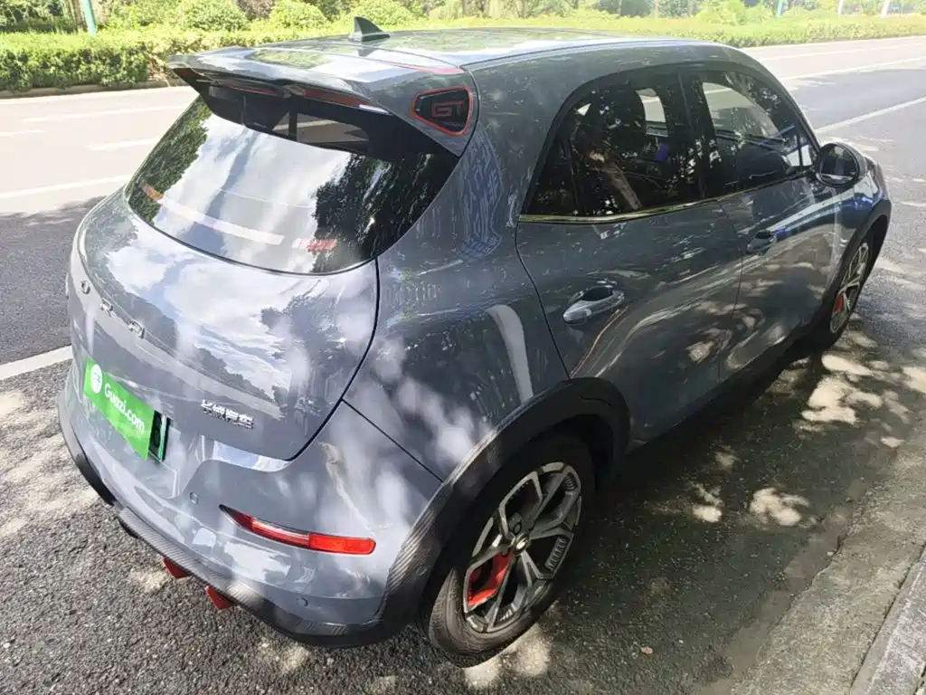 Ora Ora Good Cat GT — миниатюра 7