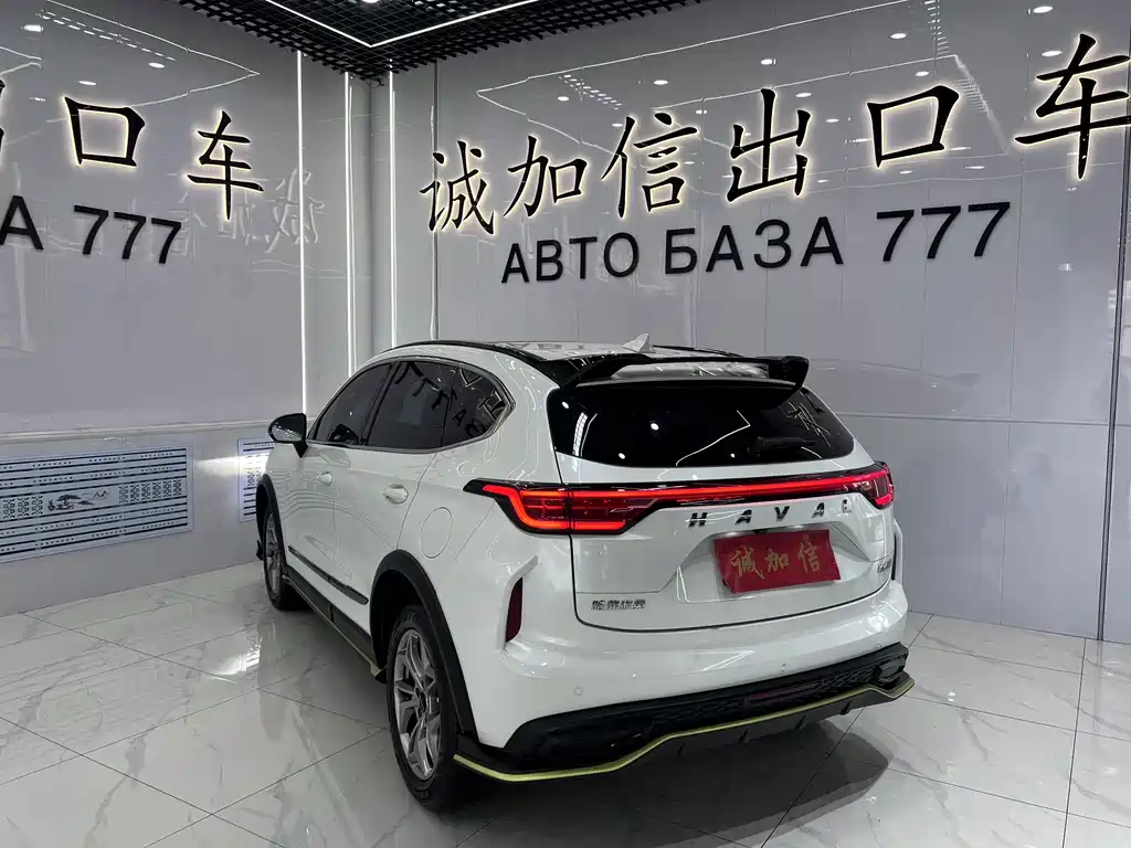 Haval Chitu — миниатюра 6