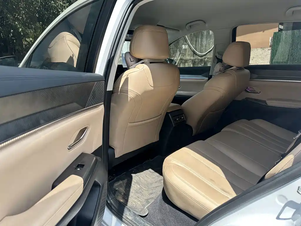 BYD Pro New Energy — миниатюра 4