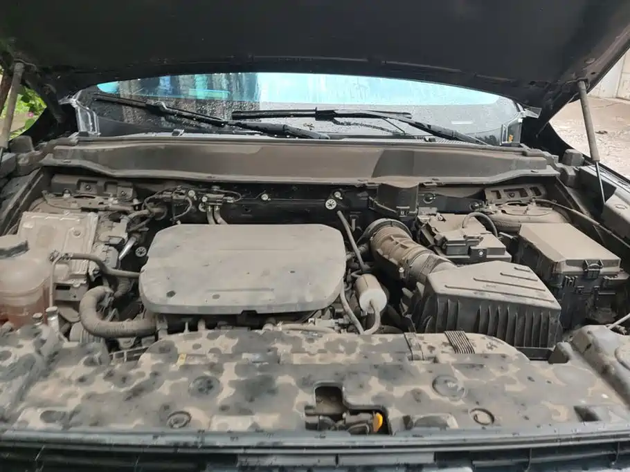 Haval Big Dog — миниатюра 10