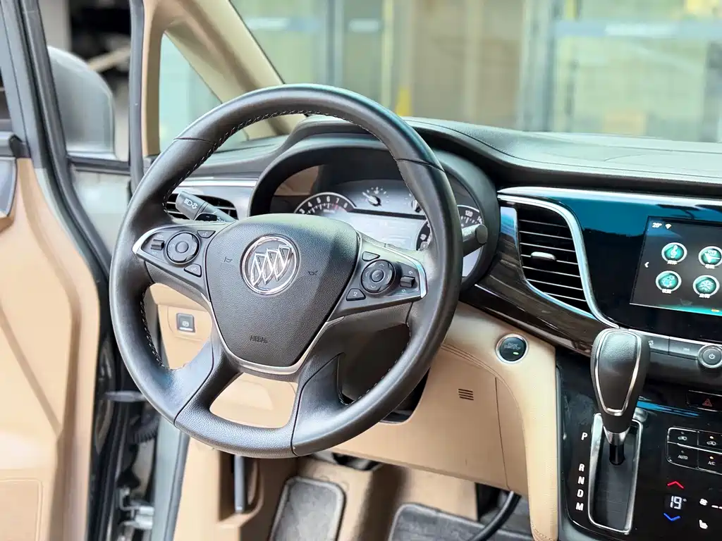Buick GL8 — миниатюра 8