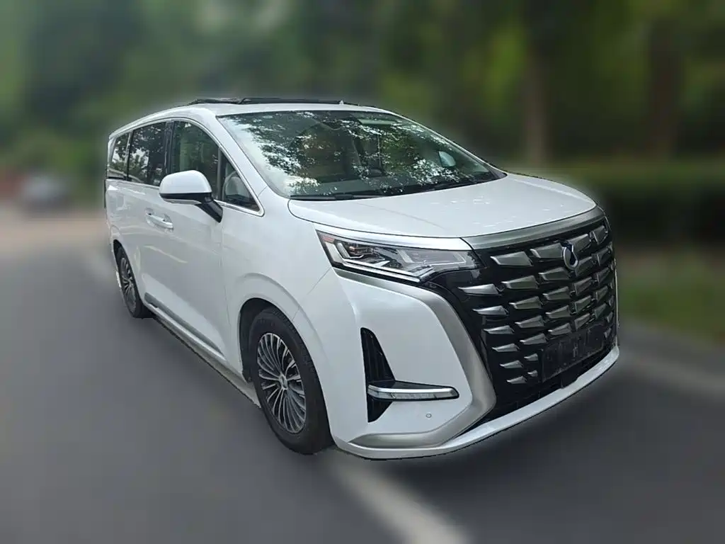 Denza Denza D9 — миниатюра 6