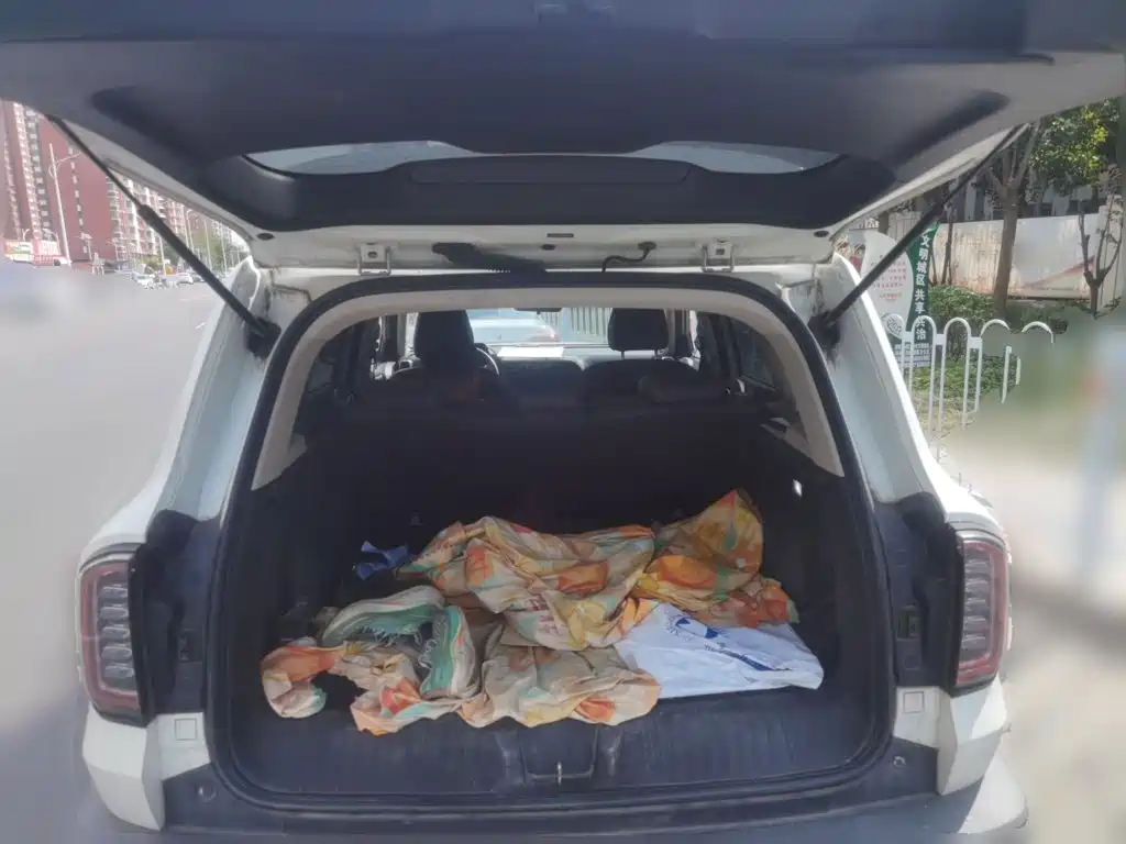Haval Big Dog — миниатюра 15