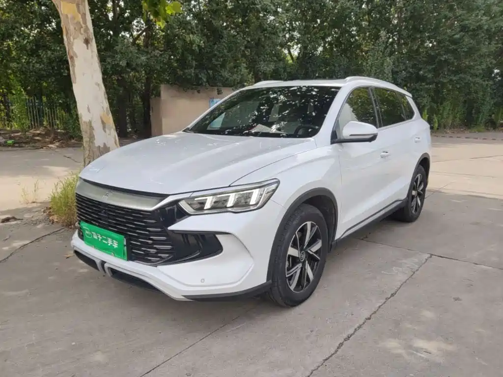 BYD Pro New Energy — миниатюра 2