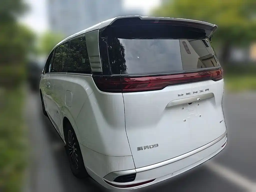 Denza Denza D9 — миниатюра 7