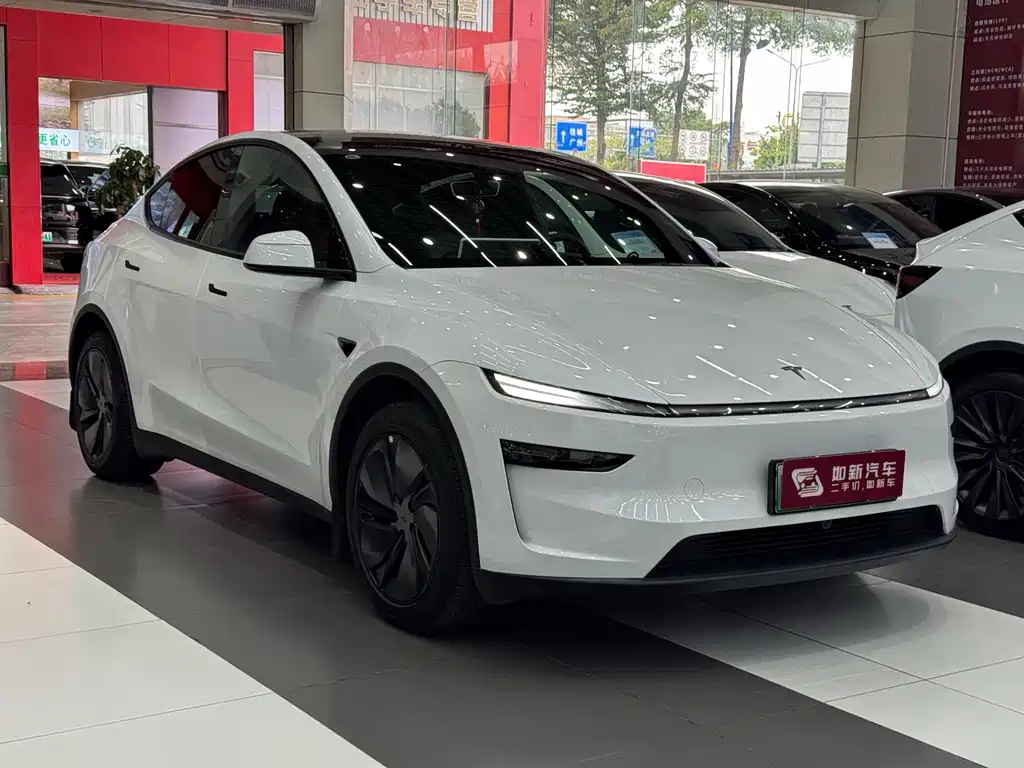 Tesla Model Y — миниатюра 3