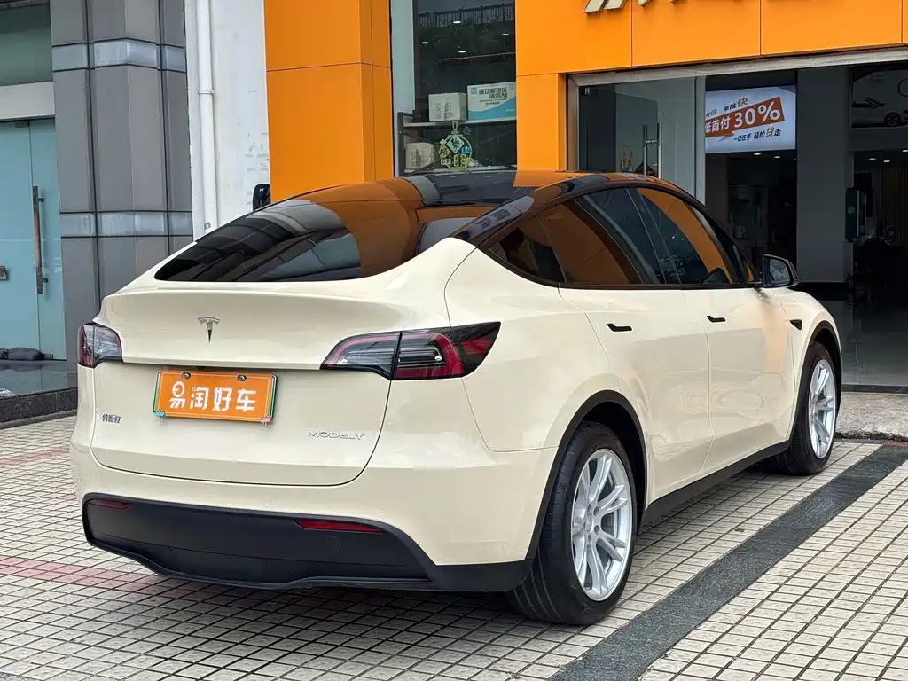 Tesla Model Y — миниатюра 7