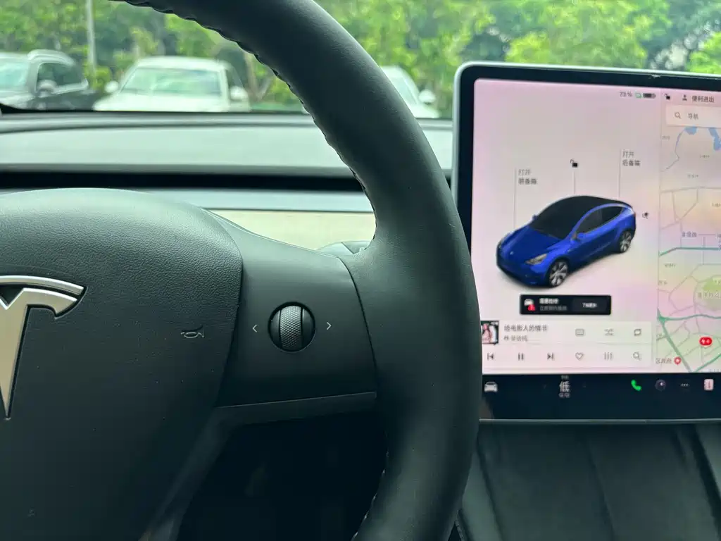 Tesla Model Y — миниатюра 19