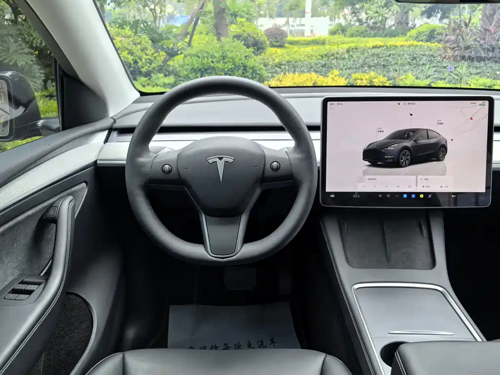 Tesla Model Y — миниатюра 7