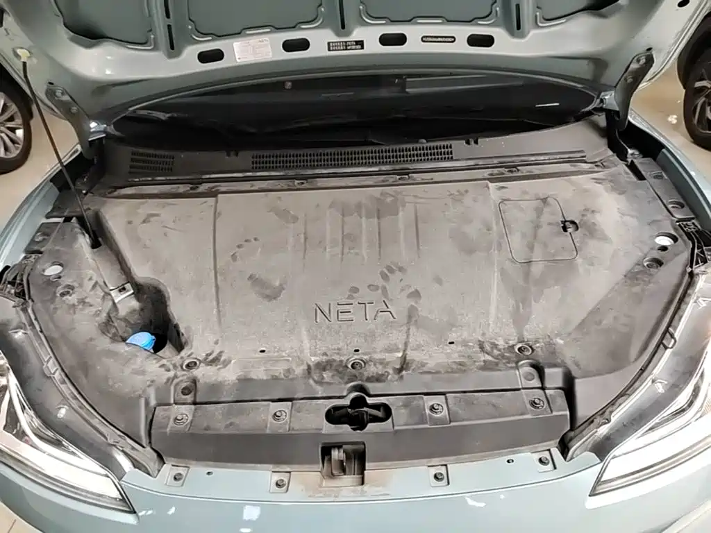 Neta Neta V — миниатюра 20