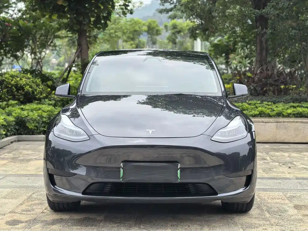 Tesla Model Y — миниатюра 2