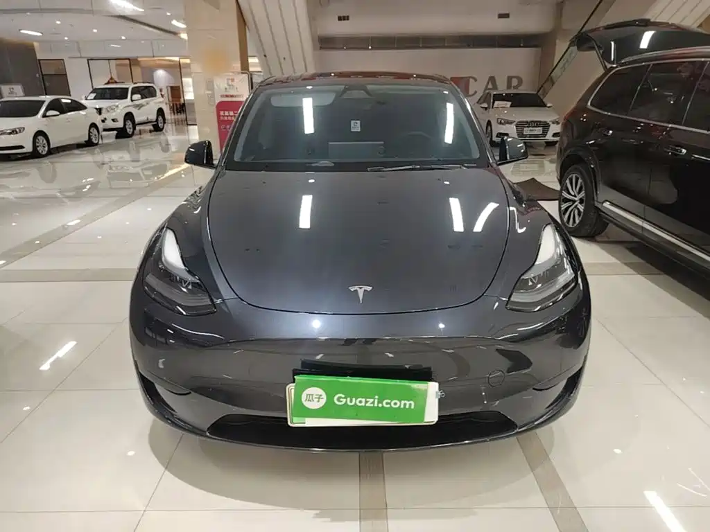 Tesla Model Y — миниатюра 3
