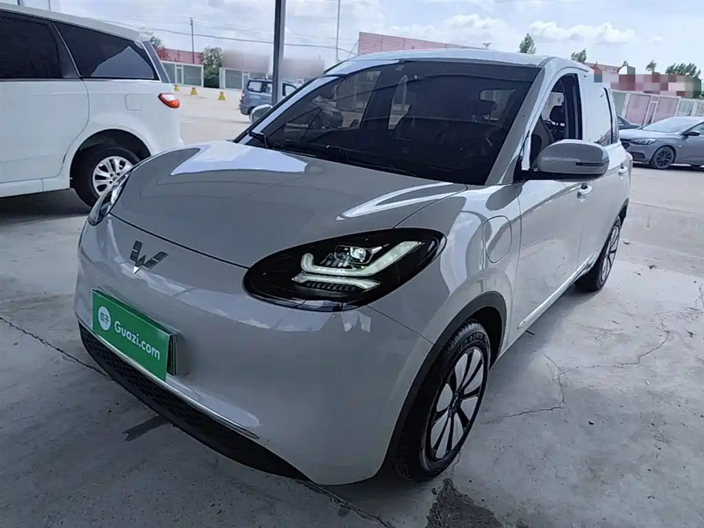 Wuling Binguo 2024 333km Delight