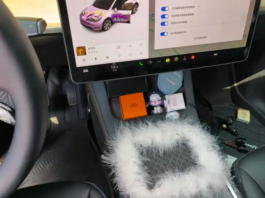 Tesla Model Y — миниатюра 16