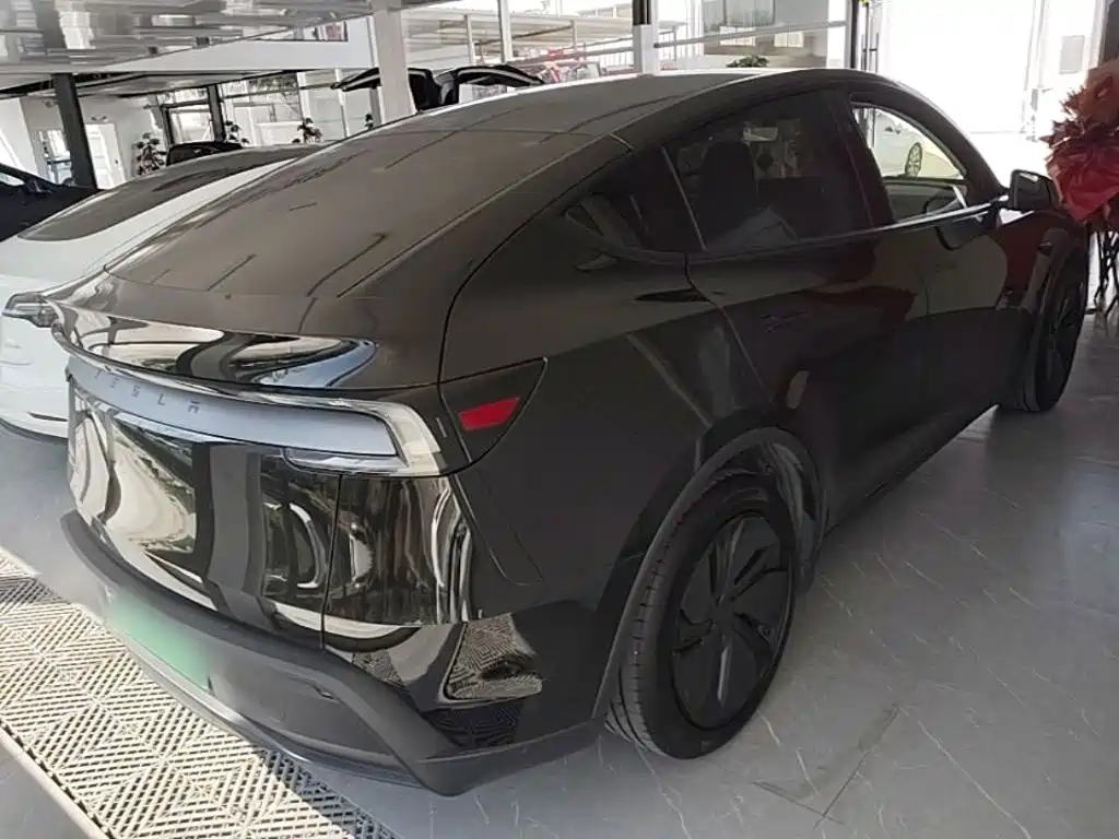 Tesla Model Y — миниатюра 7