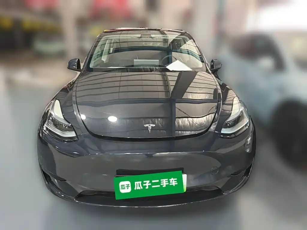 Tesla Model Y — миниатюра 5