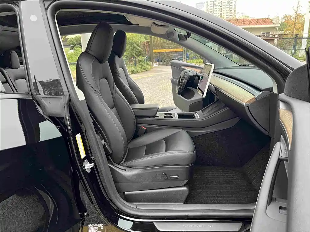 Tesla Model Y — миниатюра 16