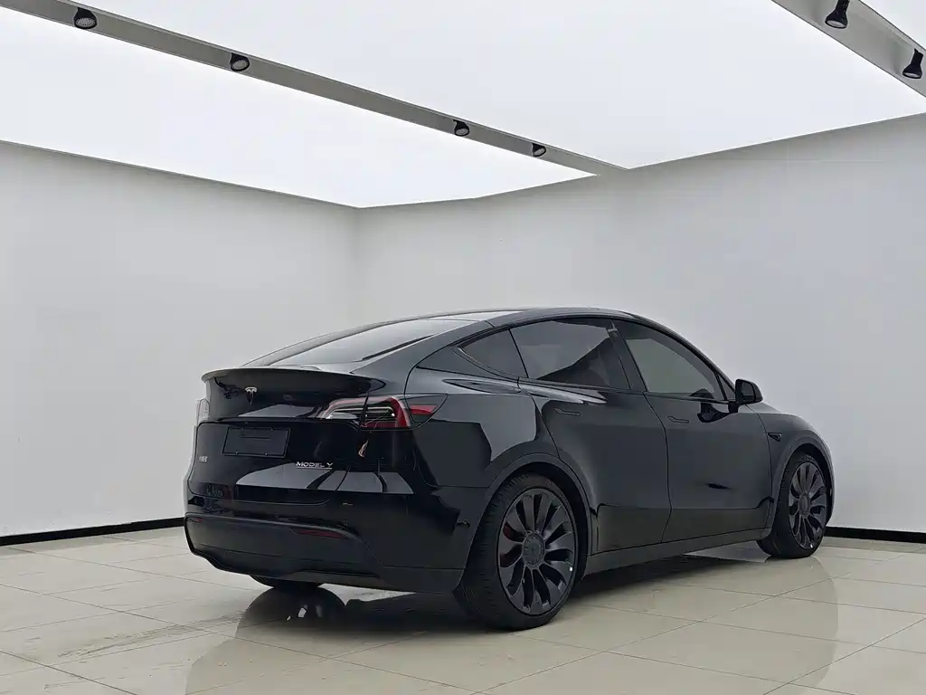 Tesla Model Y — миниатюра 9