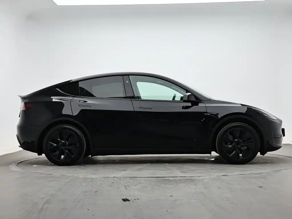 Tesla Model Y — миниатюра 5