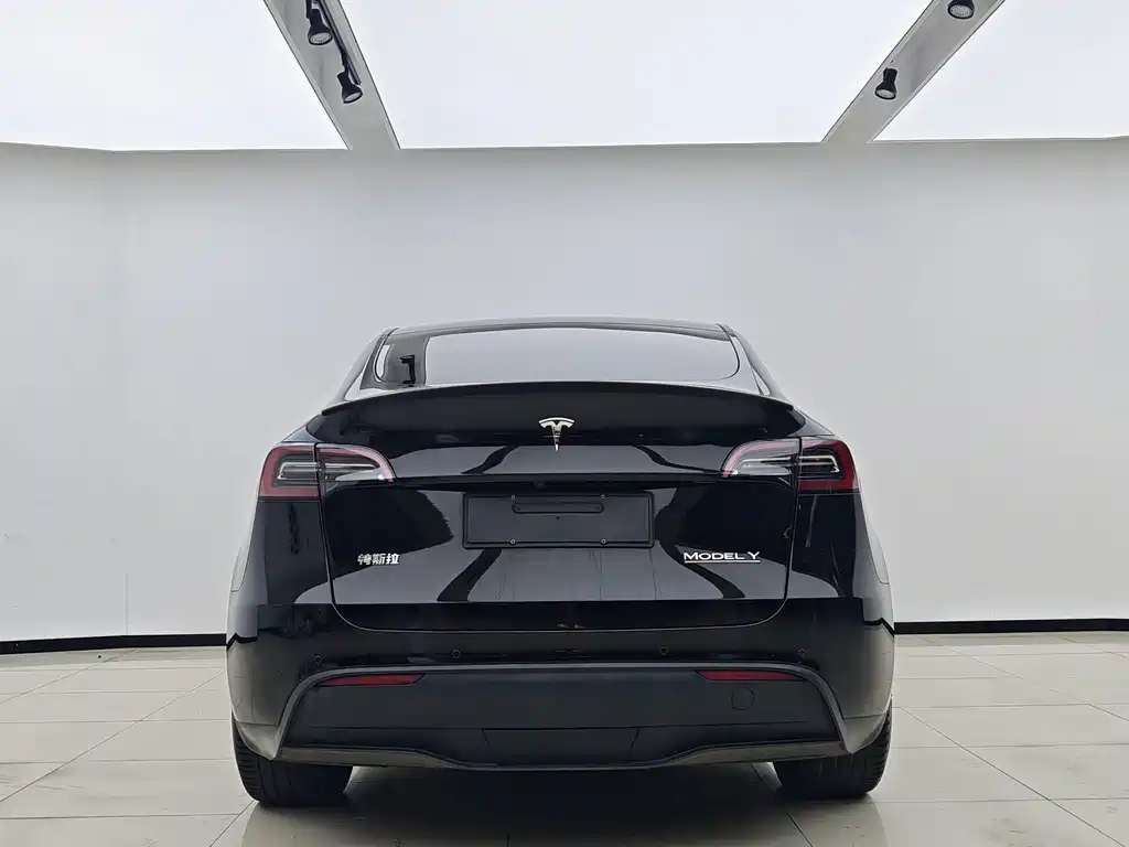 Tesla Model Y — миниатюра 8