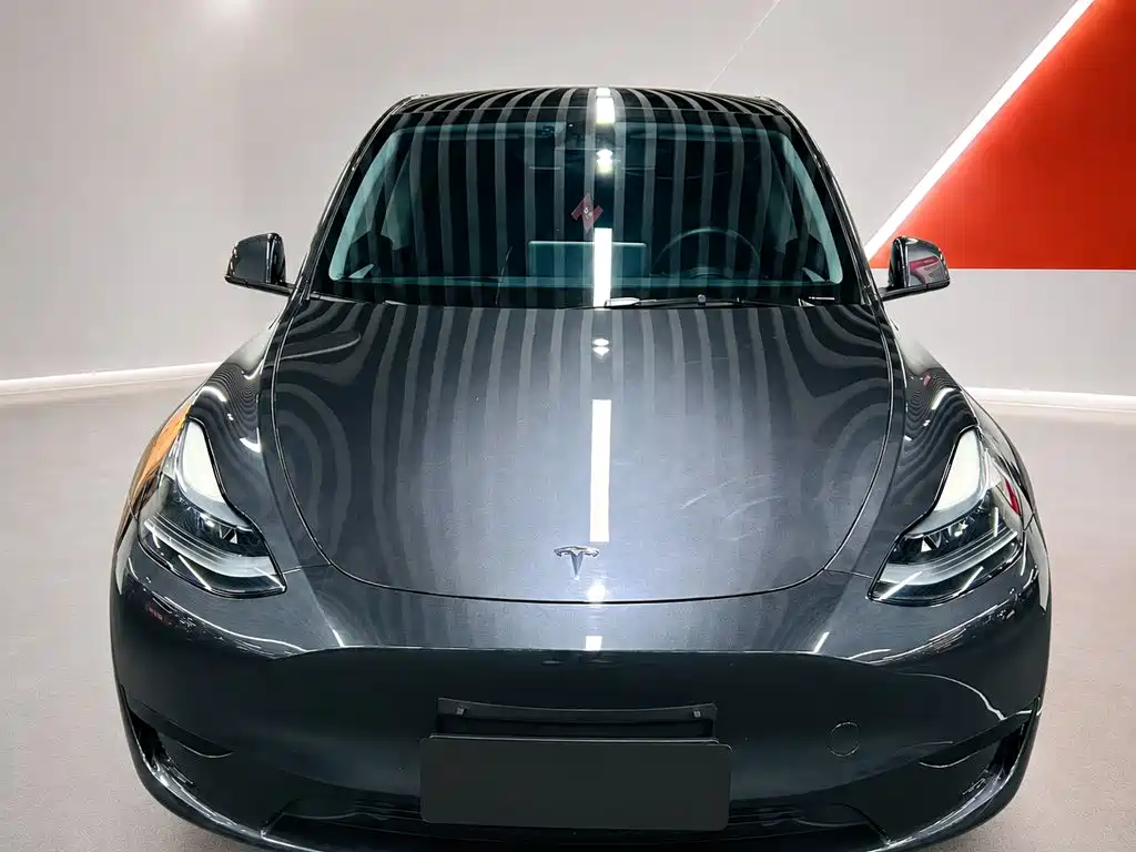 Tesla Model Y — миниатюра 2
