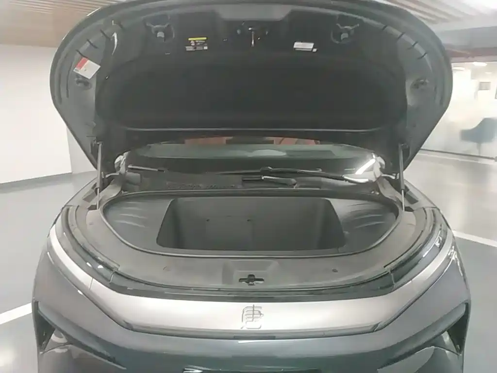 BYD Дон Л. — миниатюра 20