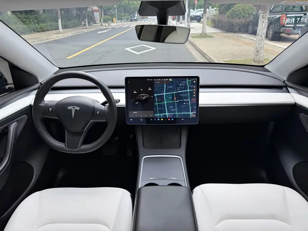 Tesla Model Y — миниатюра 10