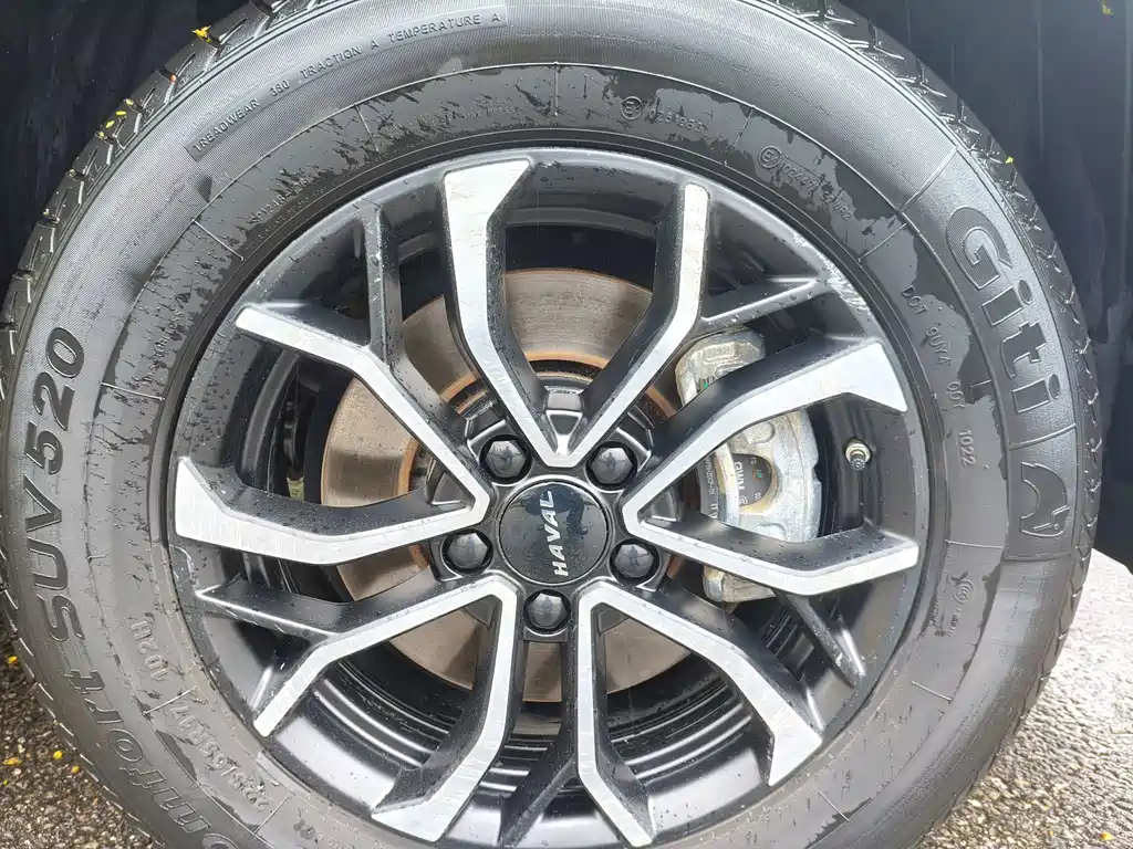 Haval H6 — миниатюра 8