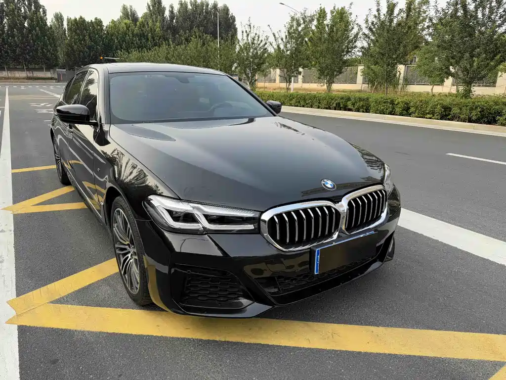 BMW 5 Series 5 2018 530Li Premium M Sport