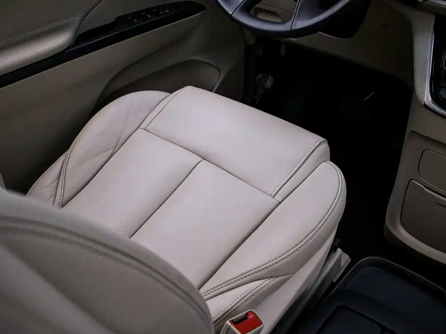 Buick GL8 — миниатюра 14