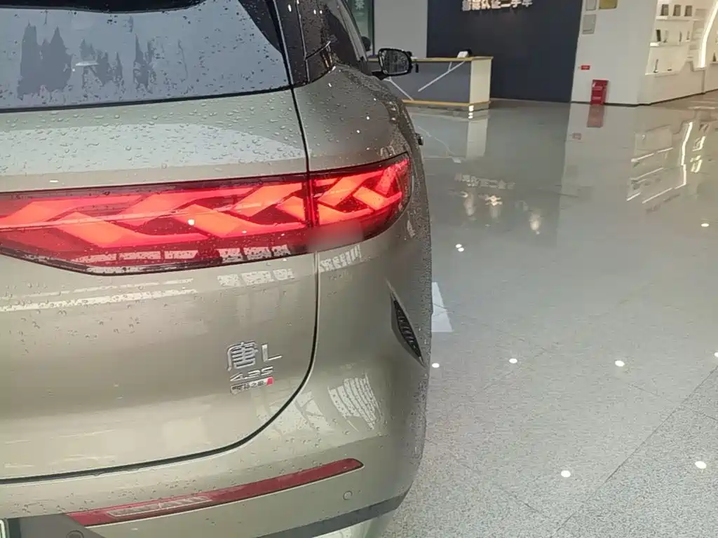 BYD Дон Л. — миниатюра 24
