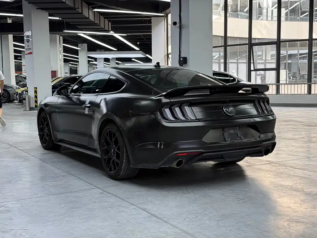 Ford Mustang — миниатюра 19