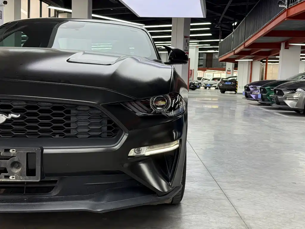 Ford Mustang — миниатюра 20