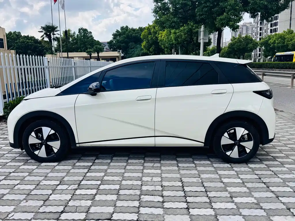 BYD Dolphin — миниатюра 8