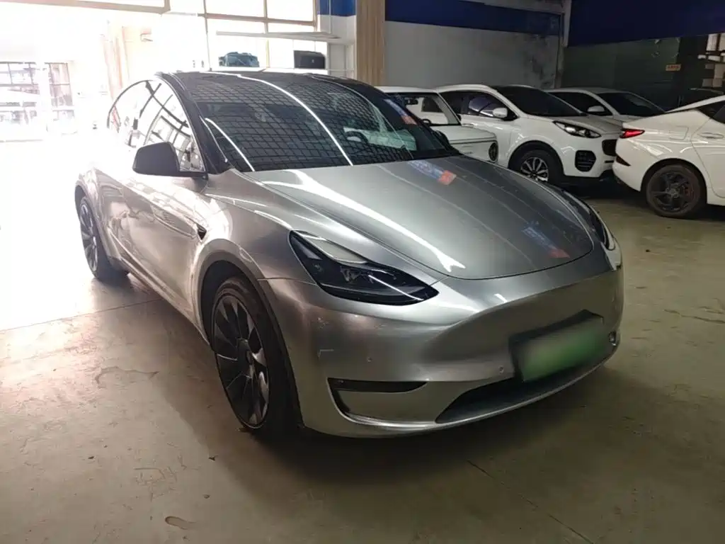 Tesla Model Y — миниатюра 4