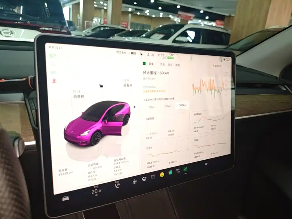 Tesla Model Y — миниатюра 13
