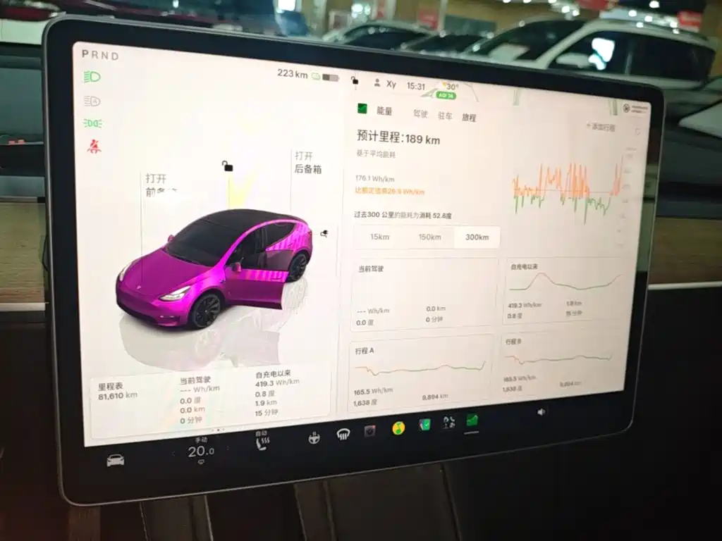 Tesla Model Y — миниатюра 12