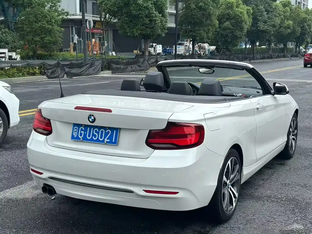 BMW 2 Series 2 2019 225i Sport