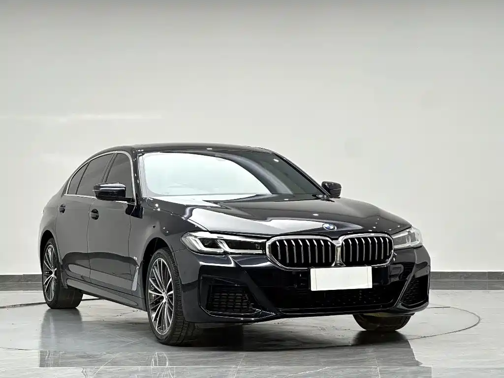 BMW 5 Series — миниатюра 2