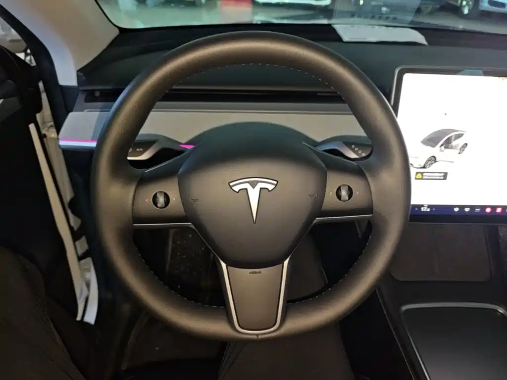 Tesla Model Y — миниатюра 11