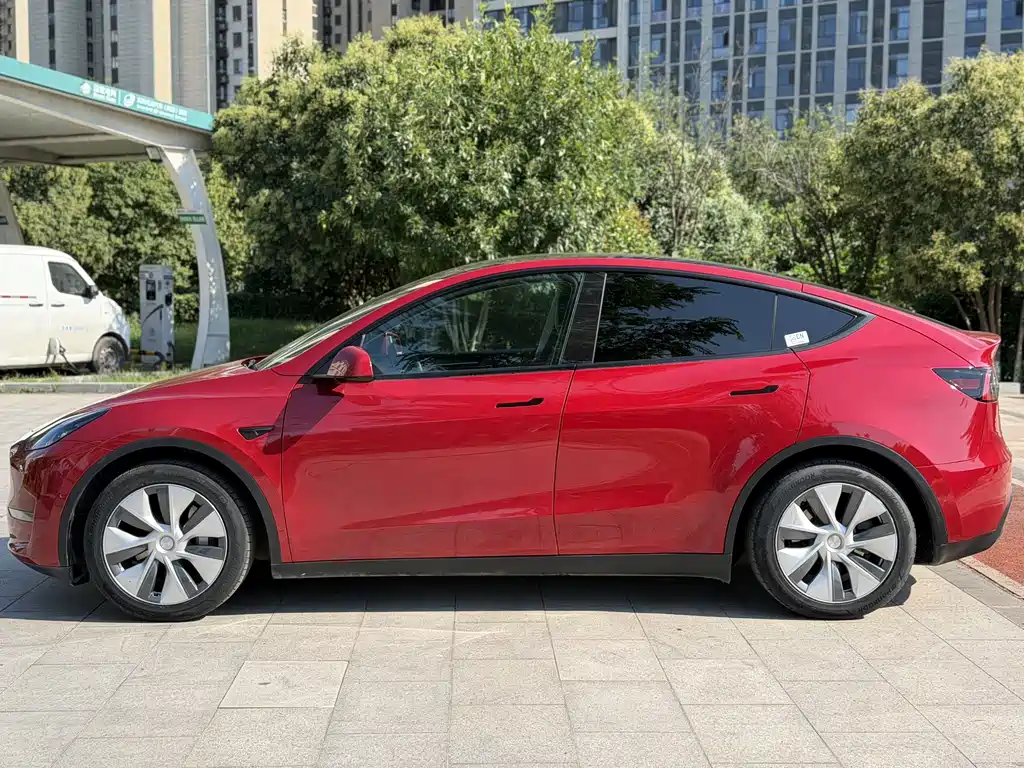 Tesla Model Y — миниатюра 5
