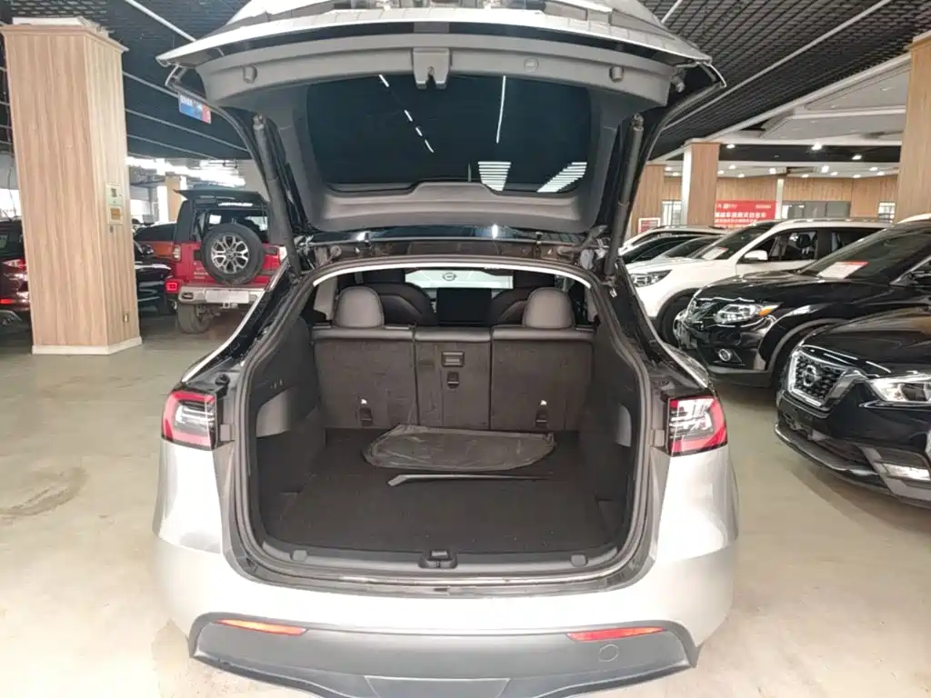 Tesla Model Y — миниатюра 19