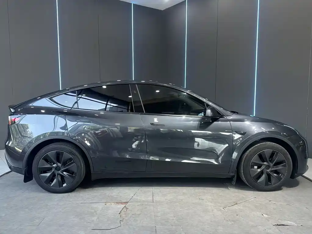 Tesla Model Y — миниатюра 5